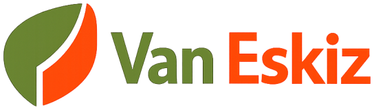 Van Eskiz
